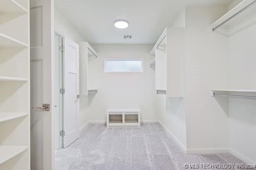 spacious closet featuring light carpet