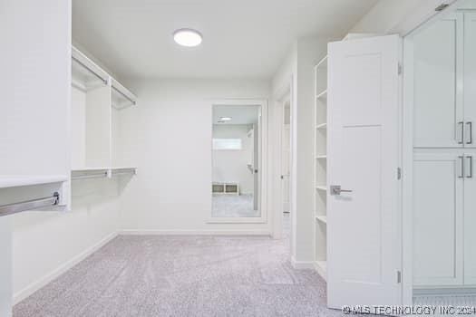 spacious closet with light carpet