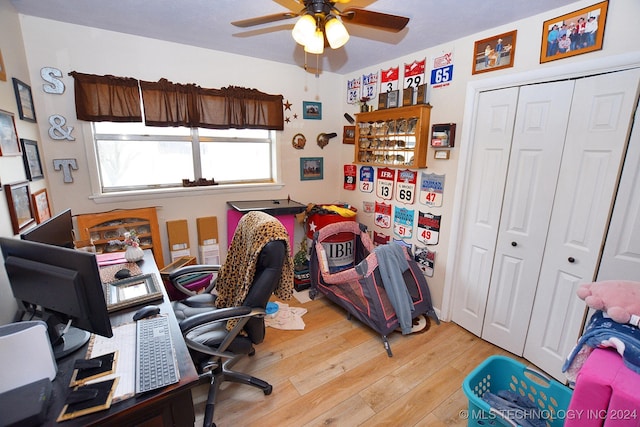 office featuring ceiling fan and light hardwood / wood-style flooring