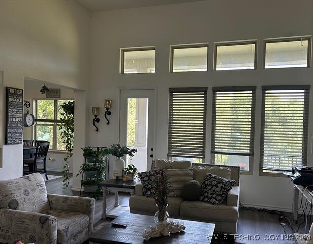 living room with hardwood / wood-style floors and plenty of natural light