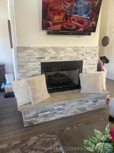 room details with wood-type flooring and a stone fireplace