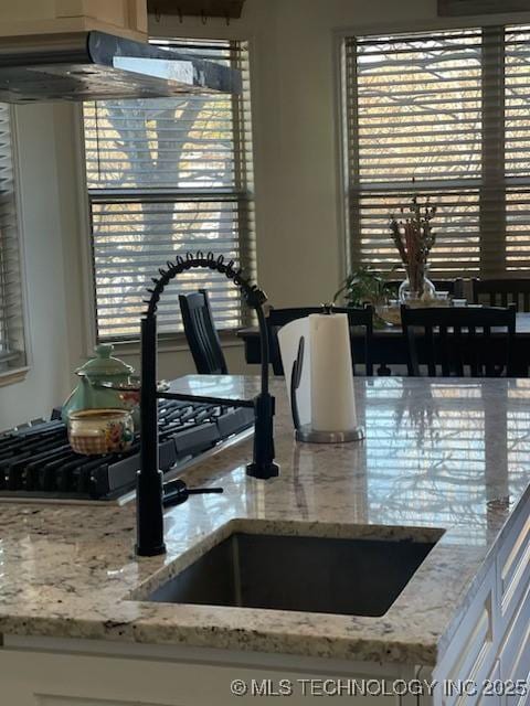 room details featuring light stone countertops and sink