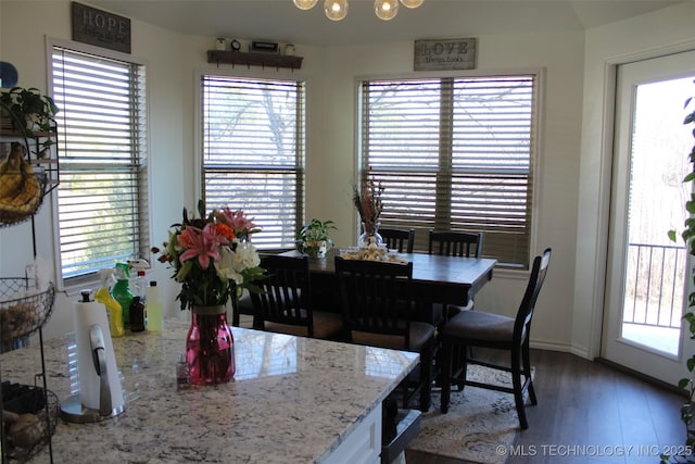 dining room with hardwood / wood-style floors