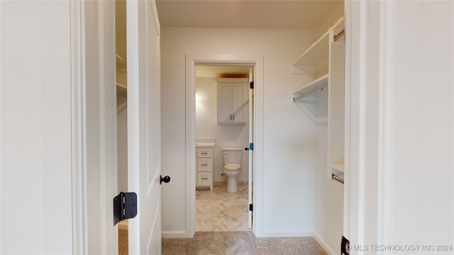 walk in closet with light colored carpet