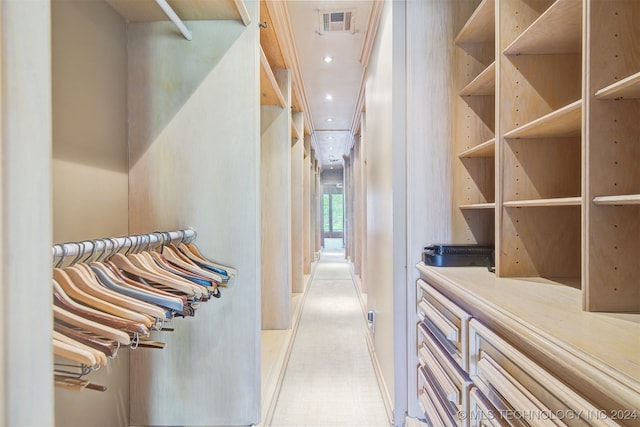 view of walk in closet