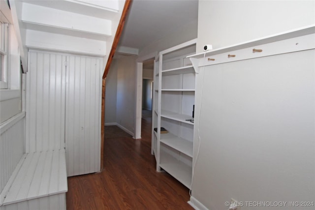 walk in closet with dark hardwood / wood-style flooring