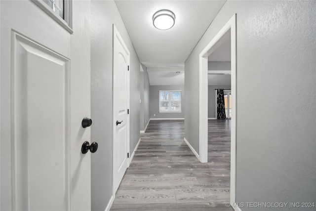 hallway with light wood-type flooring