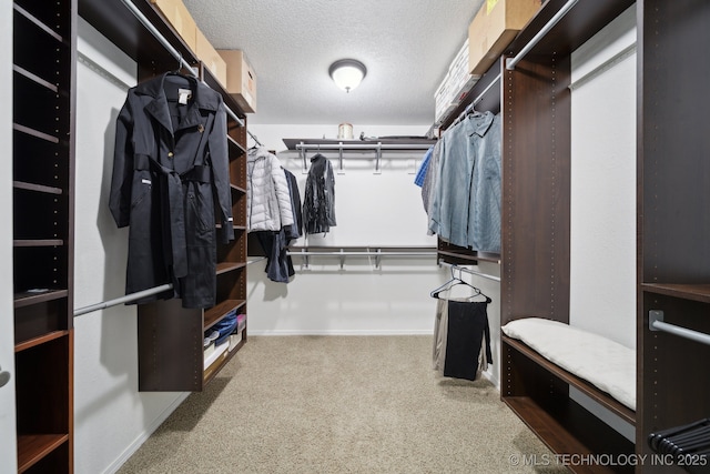 walk in closet featuring carpet floors