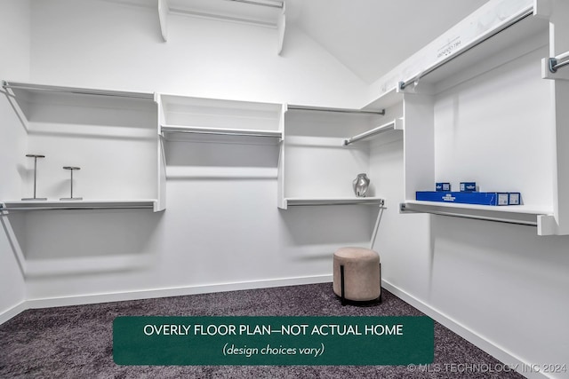 spacious closet featuring carpet floors and lofted ceiling