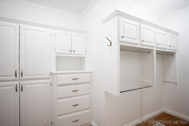 spacious closet featuring carpet flooring