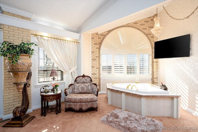 bathroom with a textured ceiling, vaulted ceiling, and a tub