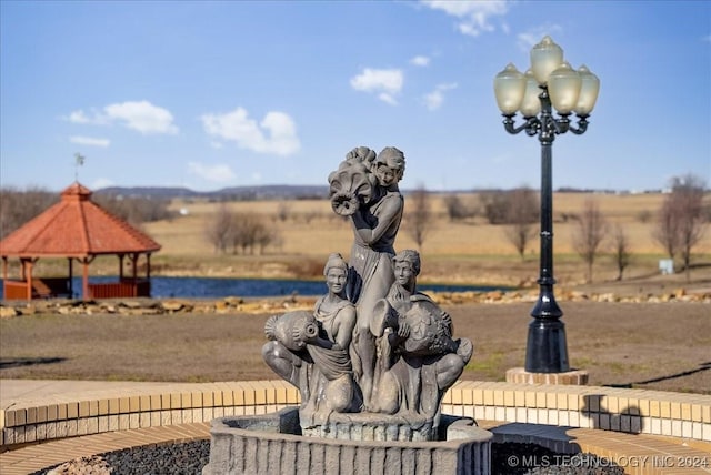 view of home's community with a gazebo and a rural view