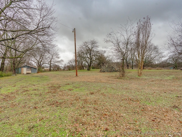 view of yard with a shed