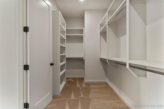 spacious closet with light carpet