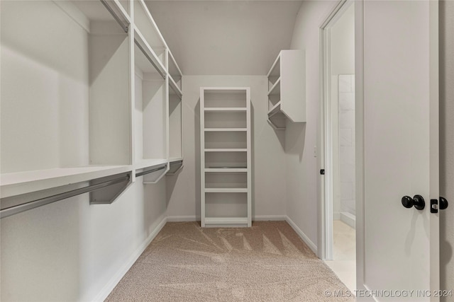 walk in closet with light colored carpet