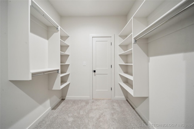 spacious closet featuring light carpet