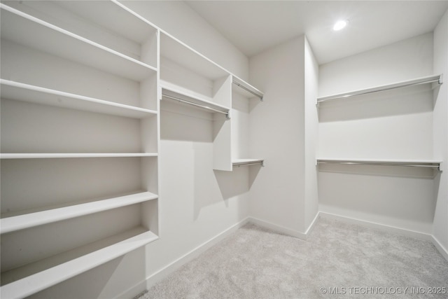 walk in closet with light colored carpet