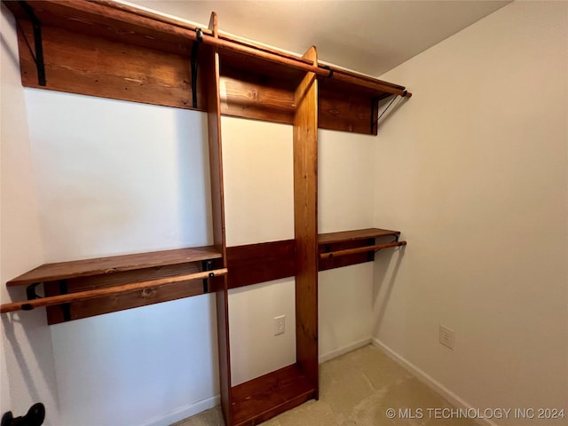 spacious closet with light colored carpet