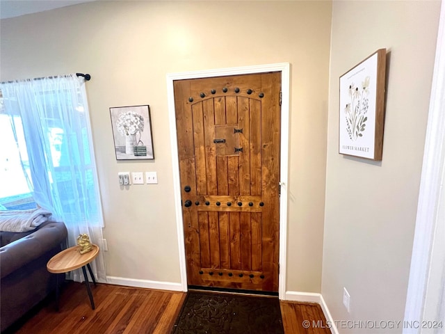 foyer featuring wood-type flooring