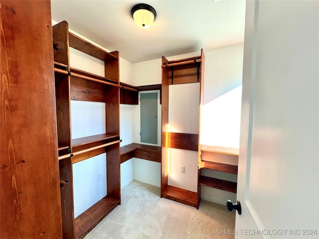 spacious closet featuring light colored carpet