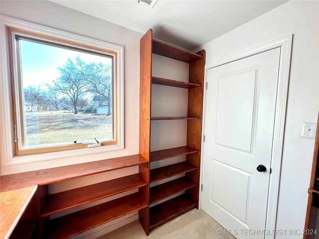 view of closet