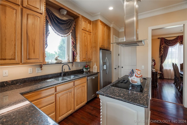 kitchen with sink, stainless steel appliances, dark hardwood / wood-style flooring, crown molding, and island range hood