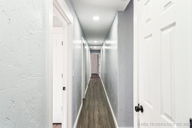 hallway featuring dark hardwood / wood-style flooring