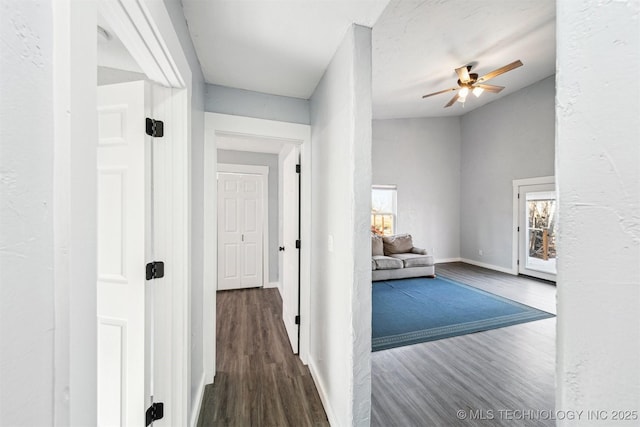 hall featuring dark wood-type flooring