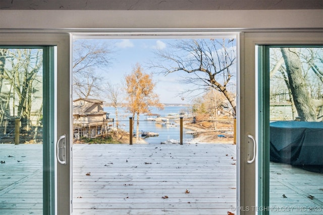 doorway with a water view and a healthy amount of sunlight