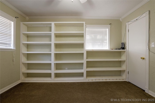 walk in closet with dark colored carpet