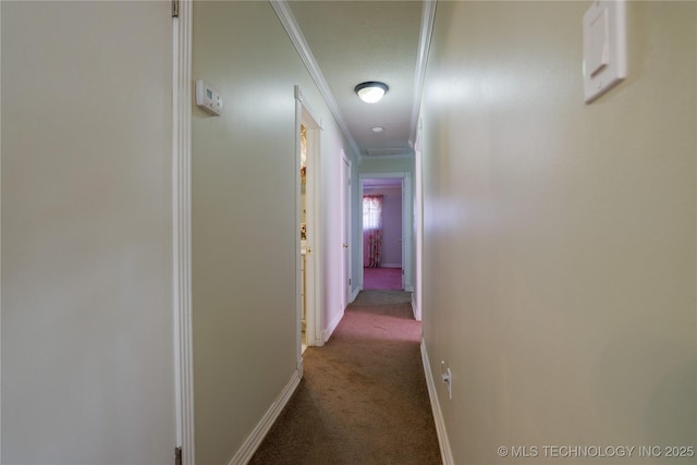 hall featuring ornamental molding and carpet floors