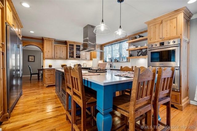 kitchen with a center island, stainless steel appliances, island exhaust hood, pendant lighting, and light hardwood / wood-style floors