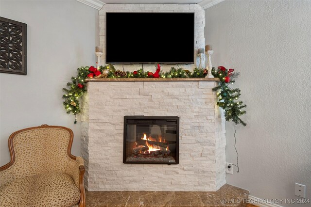 room details with a fireplace and ornamental molding