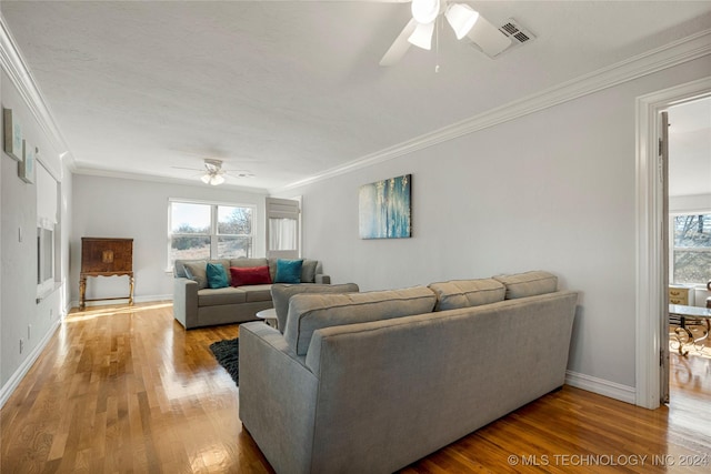 living room with hardwood / wood-style floors, ceiling fan, and ornamental molding