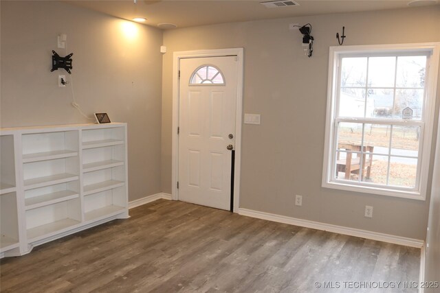 foyer with hardwood / wood-style flooring and plenty of natural light