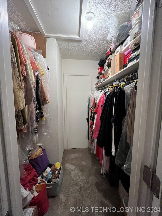 walk in closet with carpet flooring