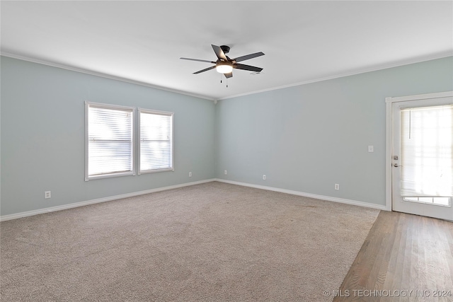 empty room featuring carpet, ceiling fan, ornamental molding, and a wealth of natural light