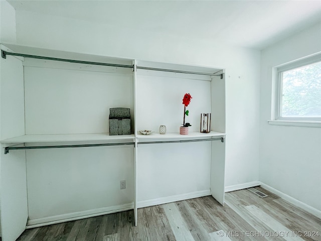 spacious closet with light hardwood / wood-style flooring