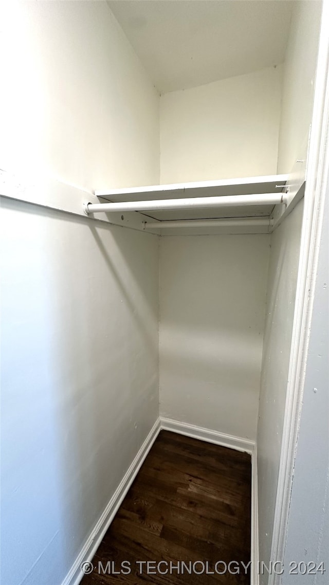 spacious closet with dark wood-type flooring