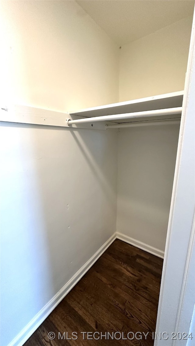 walk in closet featuring dark hardwood / wood-style flooring