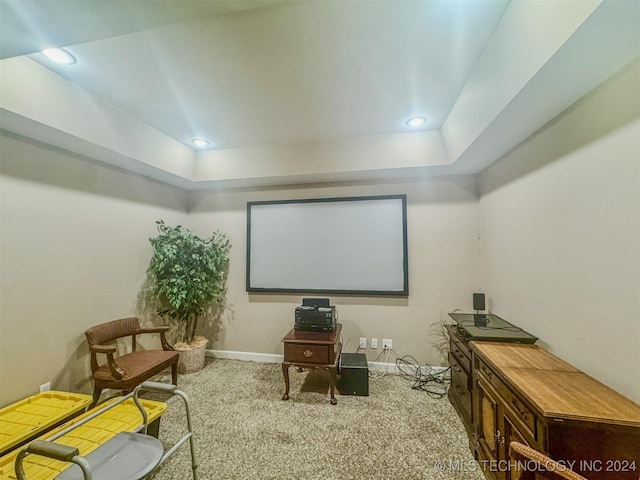 cinema featuring light carpet and a raised ceiling