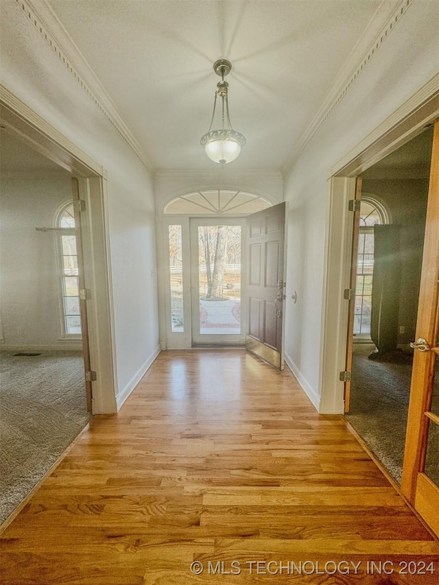 interior space with ornamental molding, light wood-type flooring, and a healthy amount of sunlight