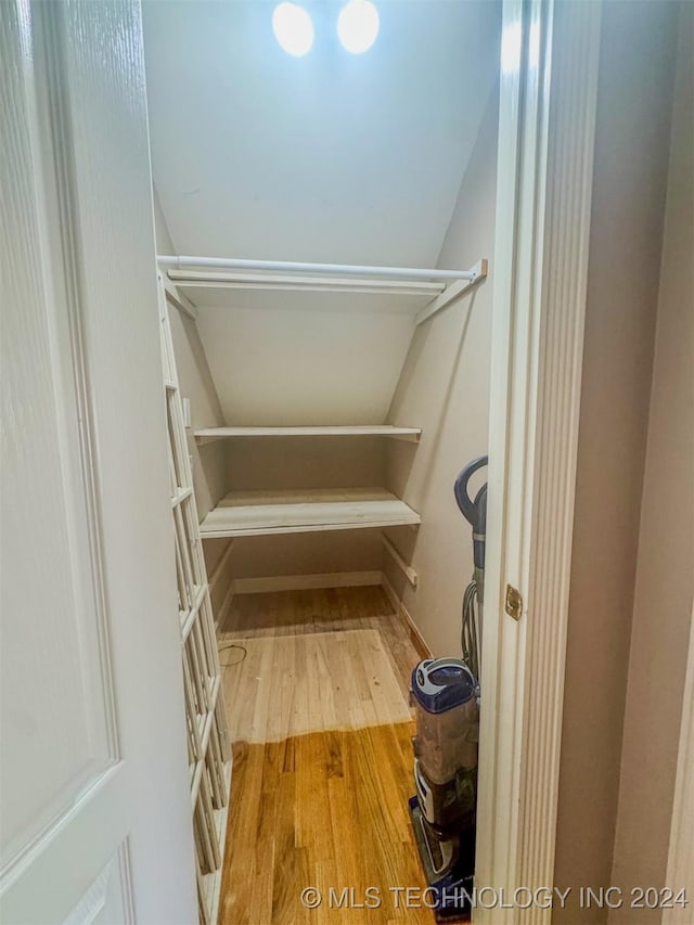 spacious closet with wood-type flooring