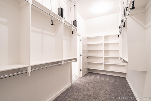 walk in closet featuring carpet flooring