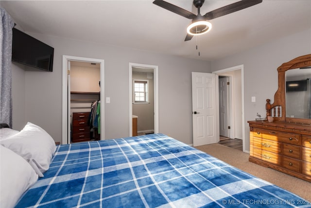 carpeted bedroom featuring ceiling fan, a walk in closet, ensuite bathroom, and a closet