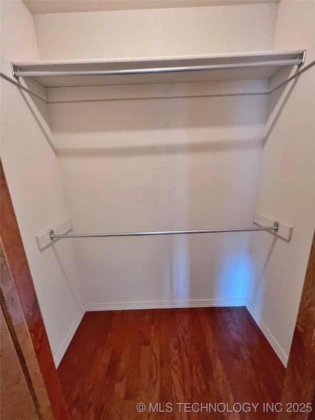 spacious closet featuring dark wood-type flooring