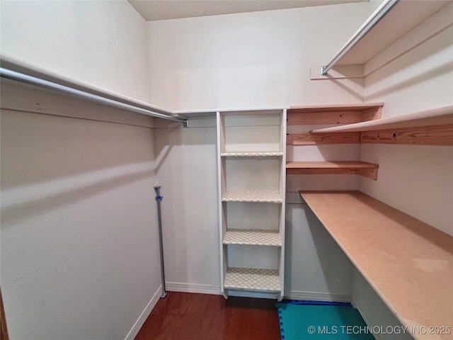 walk in closet featuring dark wood-type flooring