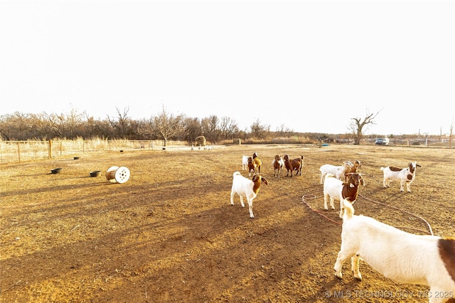 view of yard with a rural view