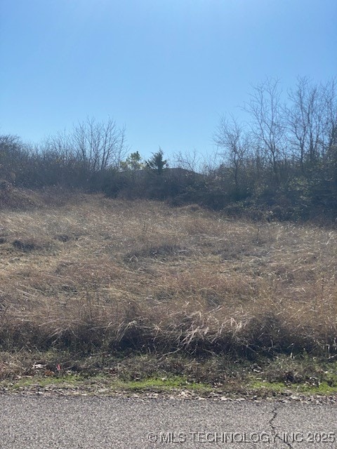 Listing photo 3 for 0 Lindsey Ln, Madill OK 73446