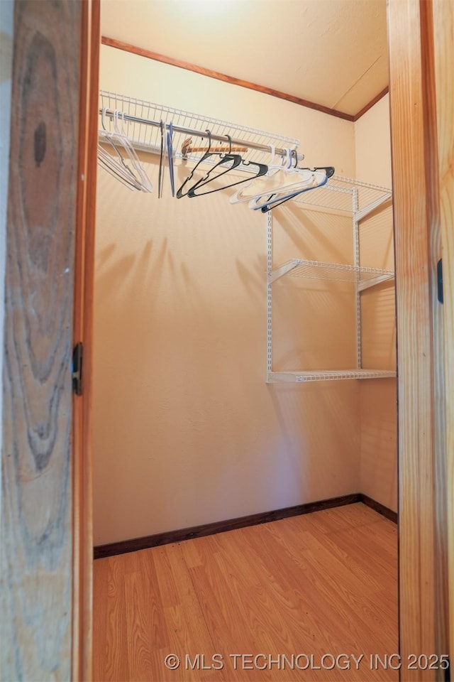 spacious closet featuring hardwood / wood-style flooring